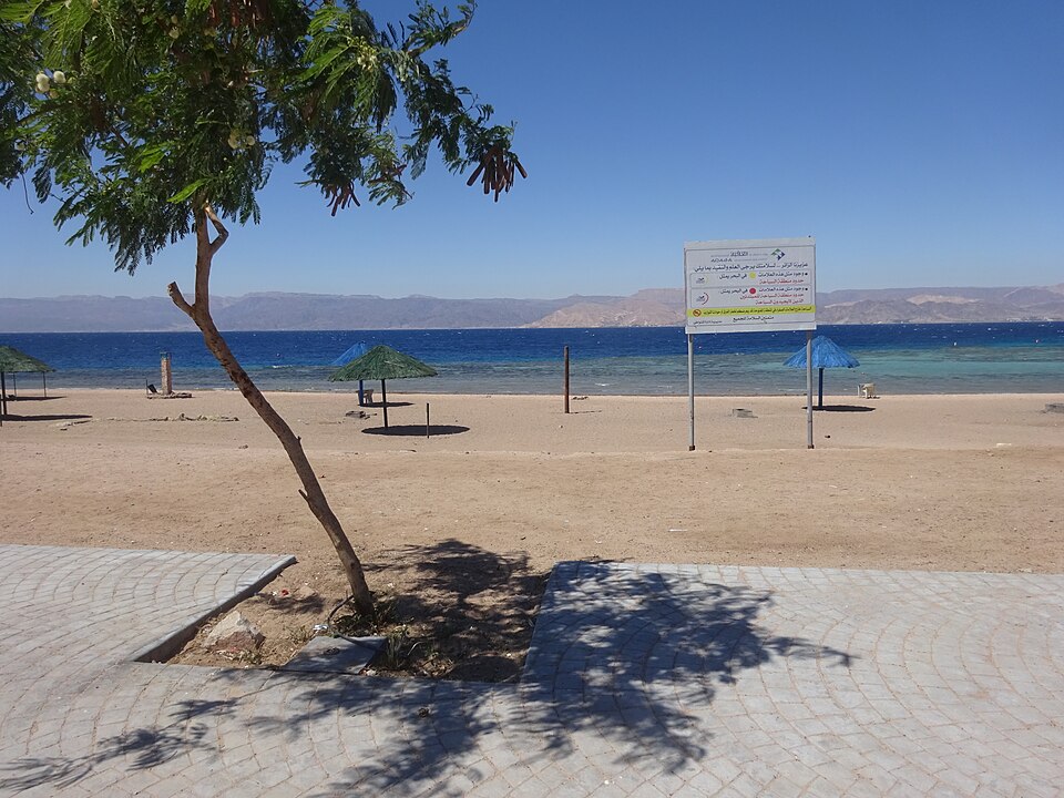 مطعم مشويات وأسماك العقبة