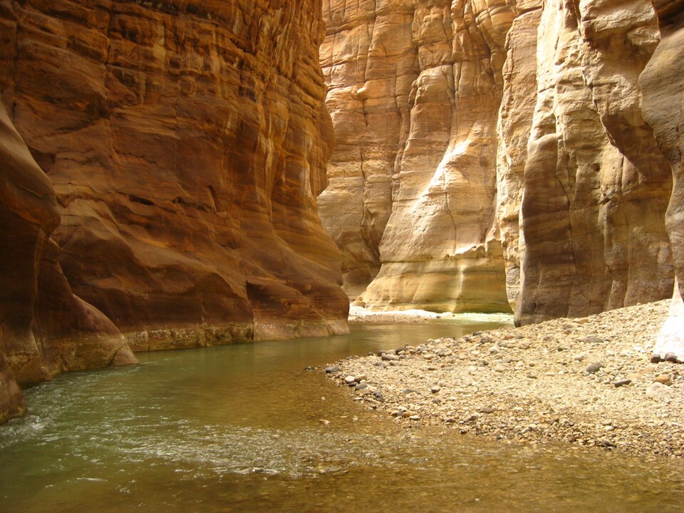 منتجع وسبا البحر الميت